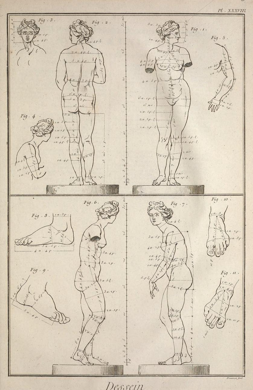Illustration
