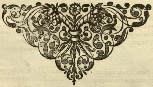 Illustration aus Horti medici amstelodamensis rariorum tam Orientalis