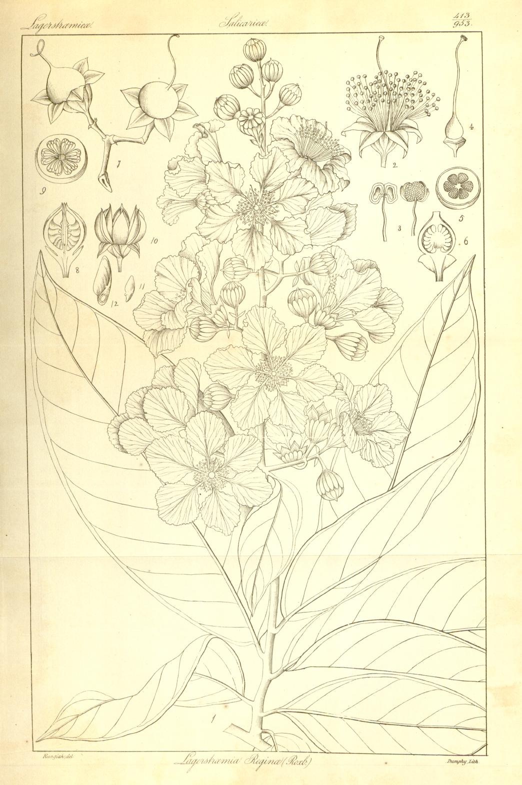 Plate 413