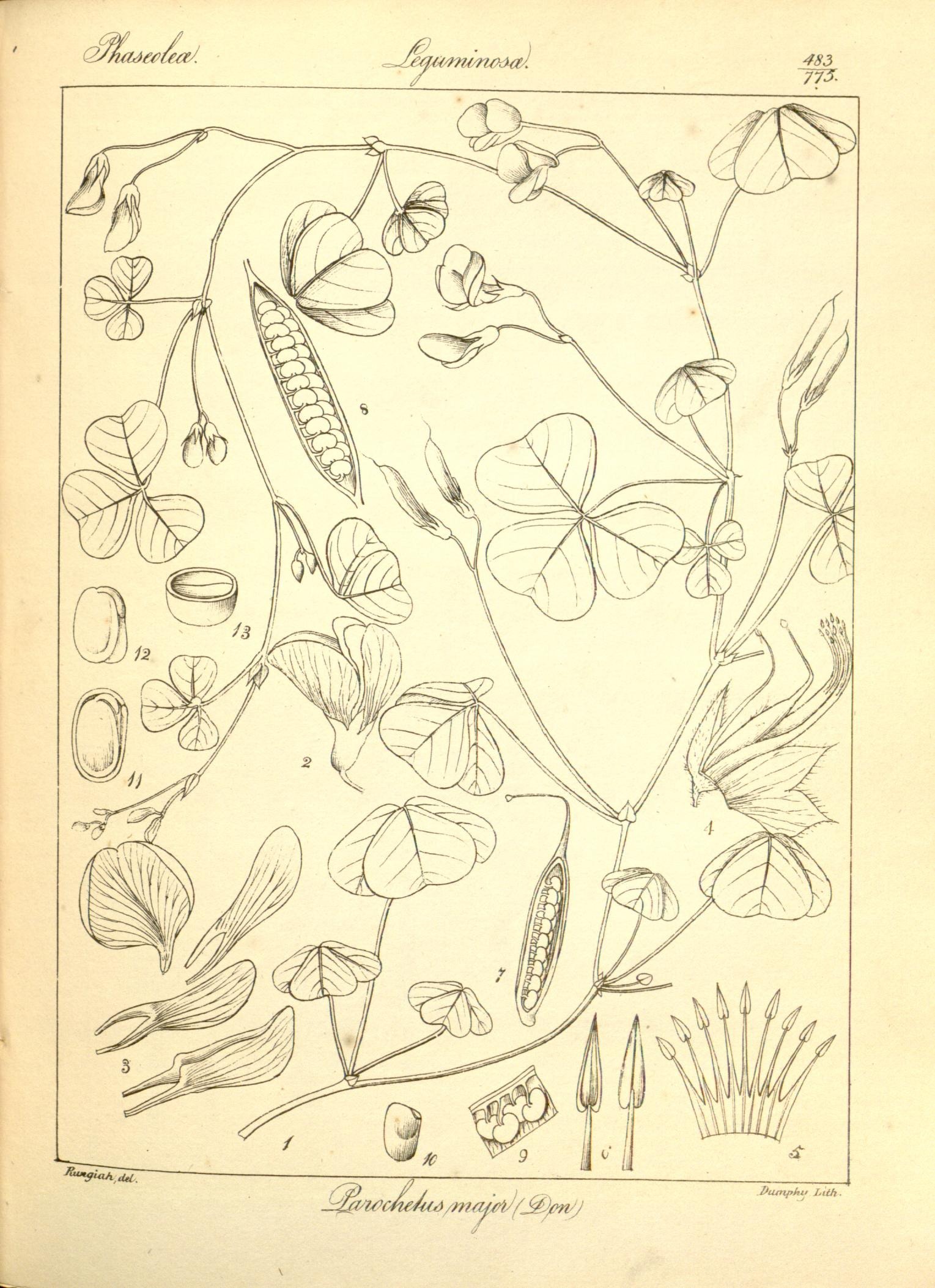 Plate 483