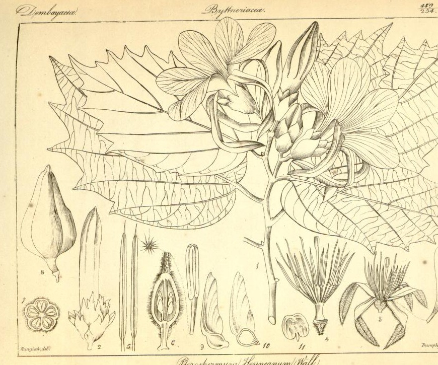 Plate 489