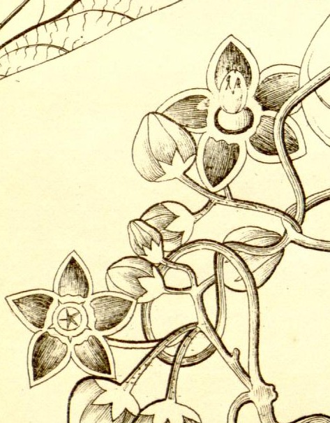 Plate 597