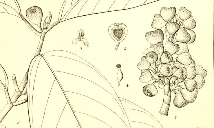 Plate 644