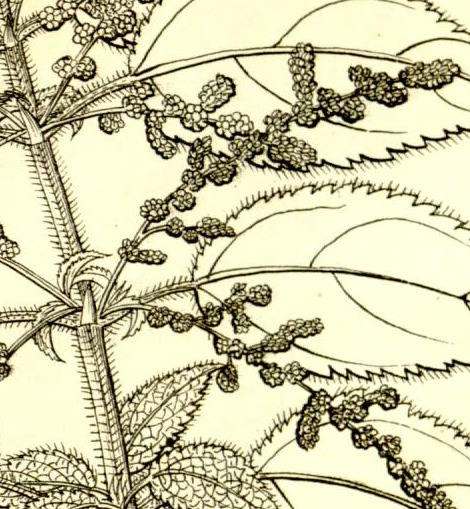 Plate 690