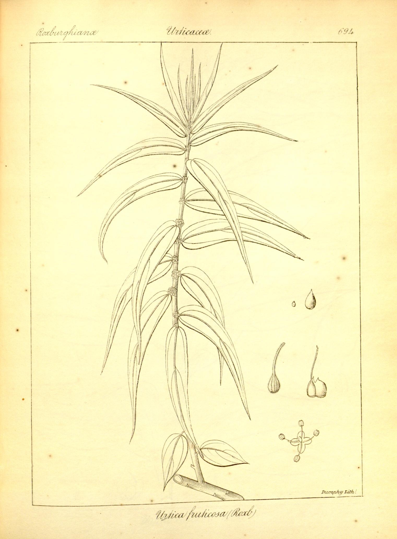 Plate 694