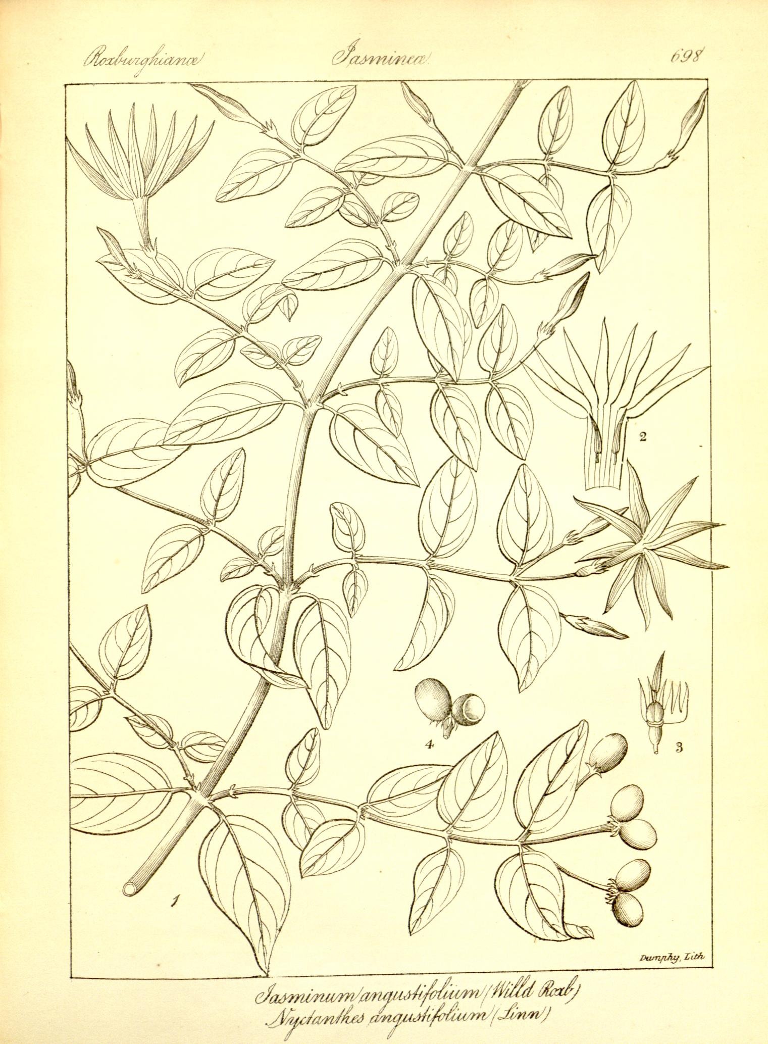 Plate 698