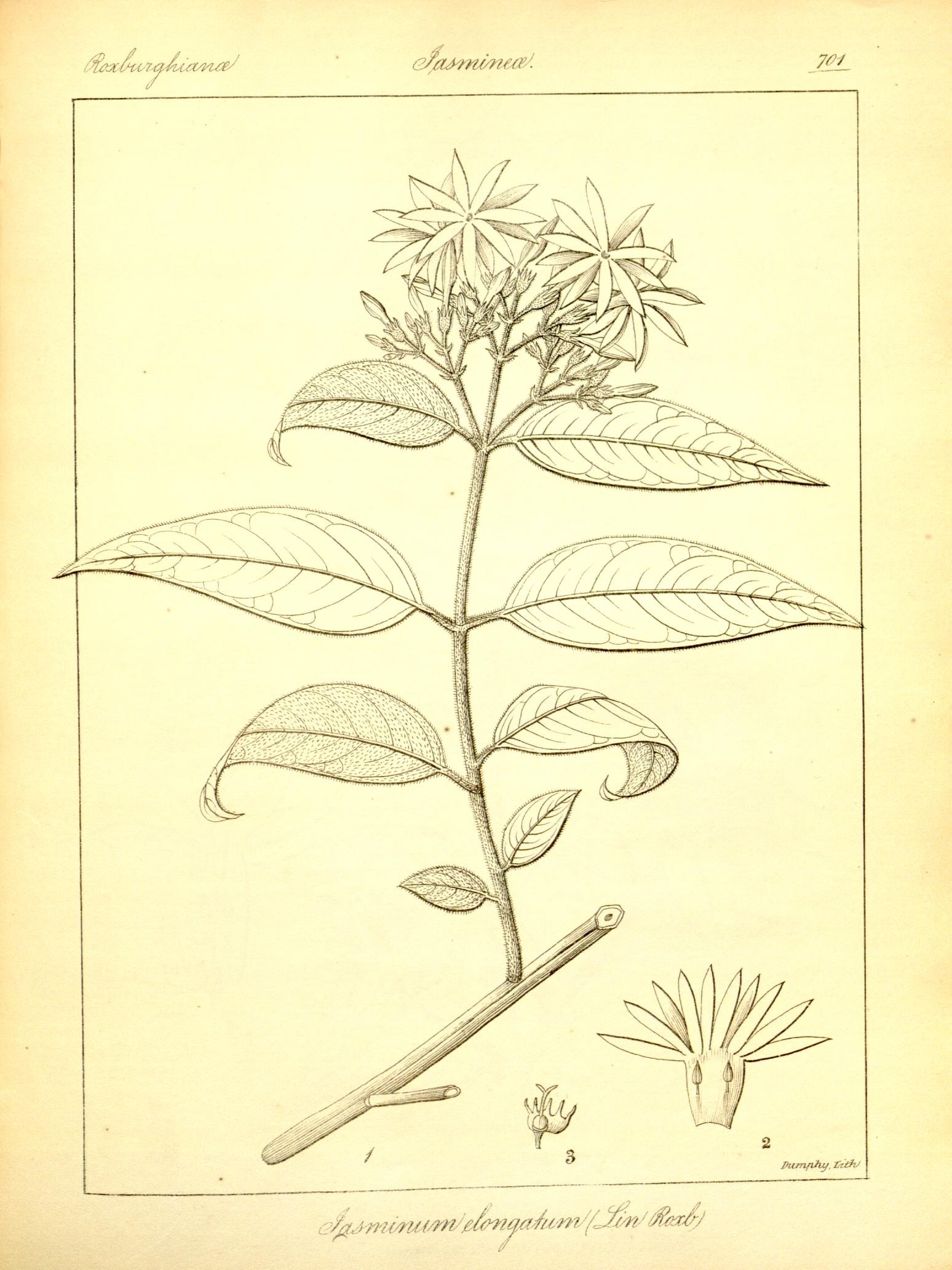 Plate 701