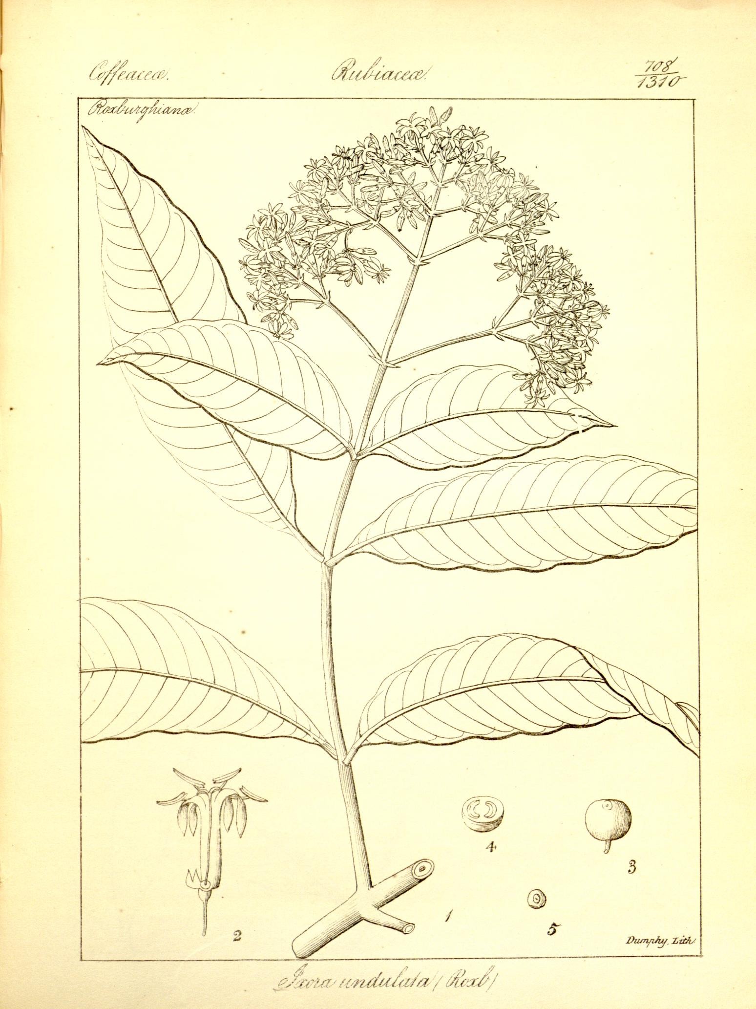 Plate 708