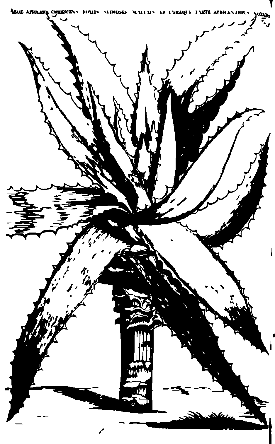 SVG-Vorschau