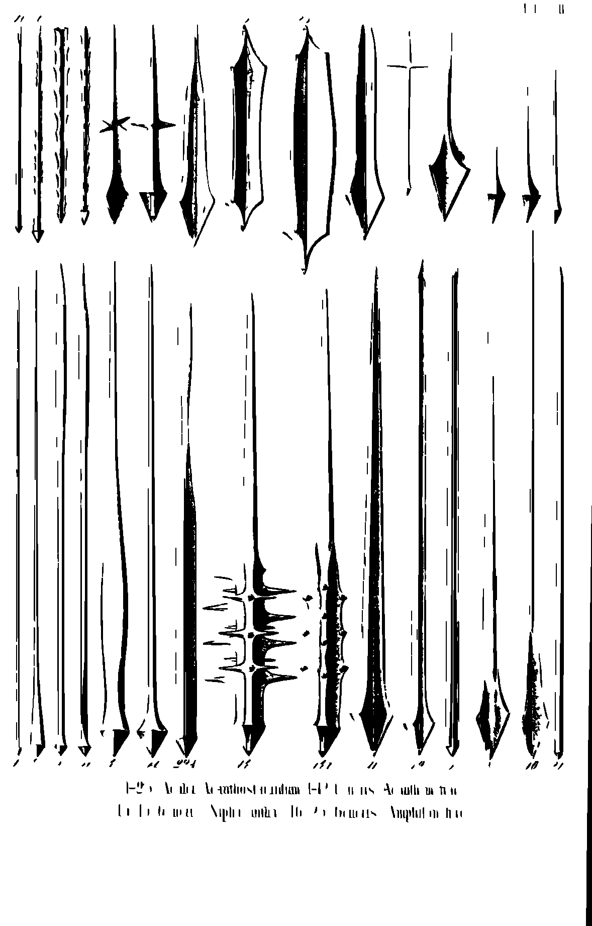 SVG-Vorschau