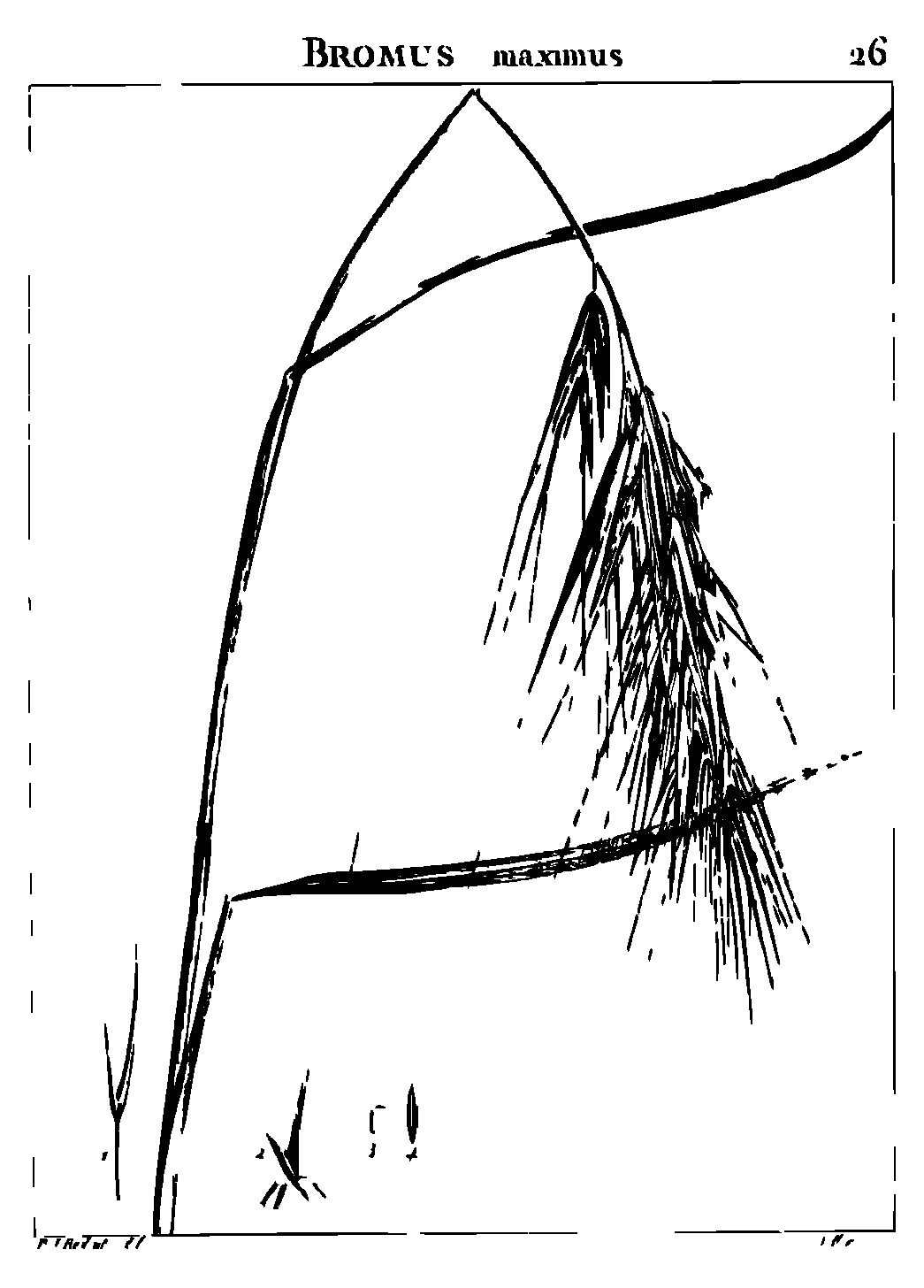 SVG-Vorschau