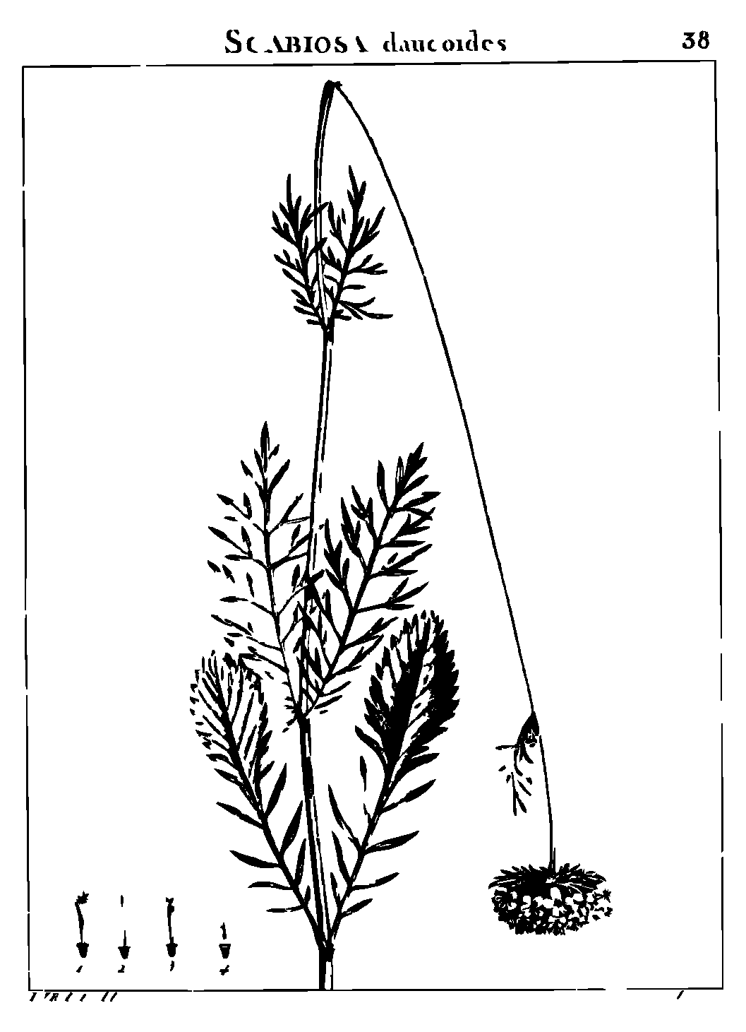 SVG-Vorschau