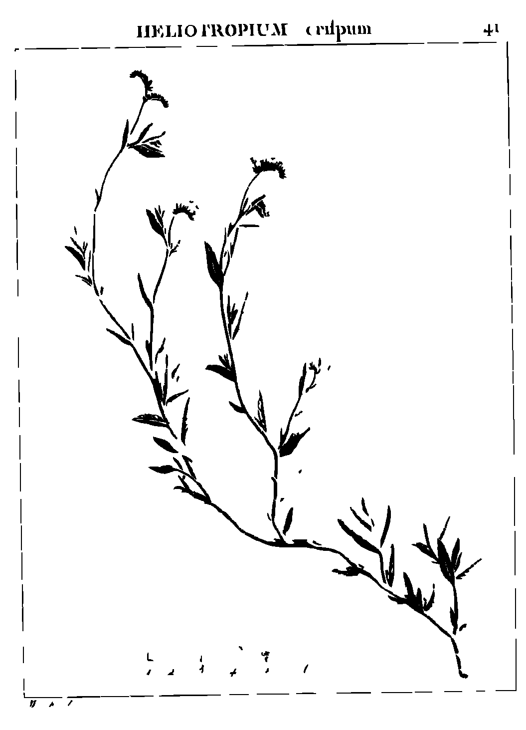 SVG-Vorschau