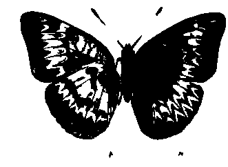 SVG-Vorschau