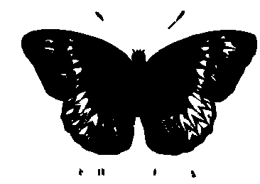 SVG-Vorschau