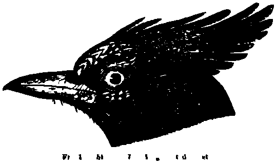 SVG-Vorschau