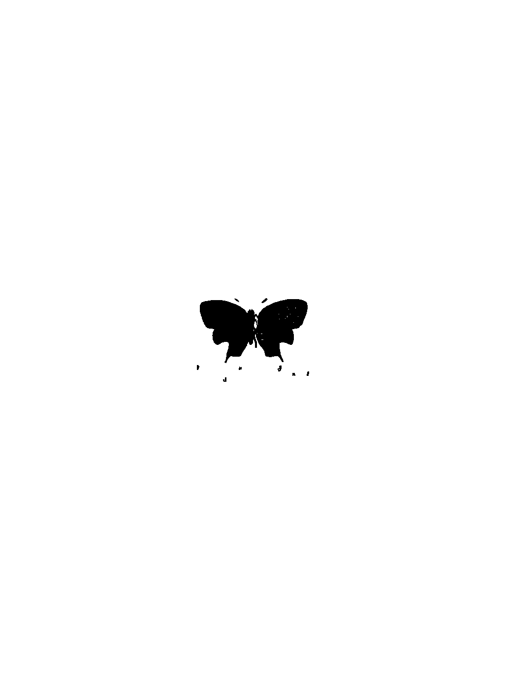 SVG-Vorschau