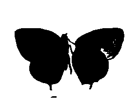 SVG-Vorschau
