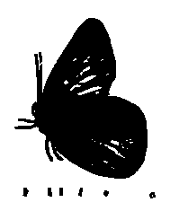 SVG-Vorschau