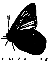 SVG-Vorschau